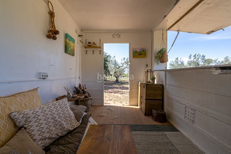 Foto bbd1cf7c-e046-4f22-9e05-3e849f08211f. Finca rústica en raval dels àngels 18 finca rústica con olivos y frutales. agua de riego de pozo propio. construcción metálica. en Horta de Sant Joan