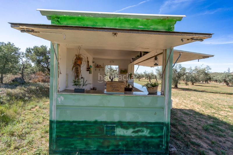 Foto df6392fe-3e22-400a-864f-4d940015087f. Finca rústica en raval dels àngels 18 finca rústica con olivos y frutales. agua de riego de pozo propio. construcción metálica. en Horta de Sant Joan