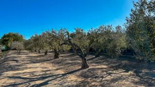 Rural plot in Carrer sant tomàs 26. Finca rústica con agua de riego cerca de la población