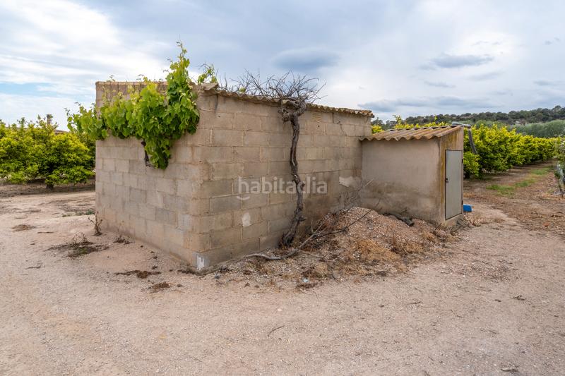 Foto 2808bd40-b904-4410-8808-24d5fb1a23a6. Propriété dans partida bitem 46 dans Bítem Tortosa