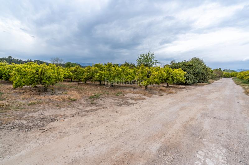 Foto 3025a94d-0f2f-4a8a-98e9-8be535c84c00. Propriété dans partida bitem 46 dans Bítem Tortosa