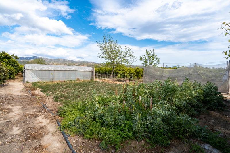 Foto 5f47b1f2-14a0-4a87-ba5c-362f9ea281af. Propriété dans partida bitem 46 dans Bítem Tortosa