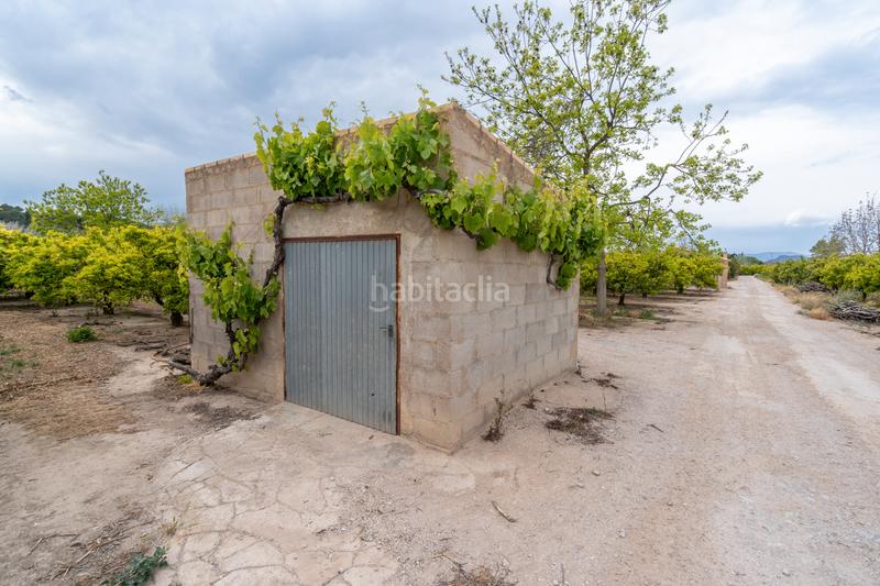 Foto 84b59e72-2627-4a01-a5bd-b9c860d93cc7. Propriété dans partida bitem 46 dans Bítem Tortosa
