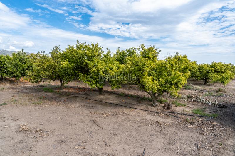 Foto afd68136-69cf-43f9-8d9a-bef1a949819e. Propriété dans partida bitem 46 dans Bítem Tortosa