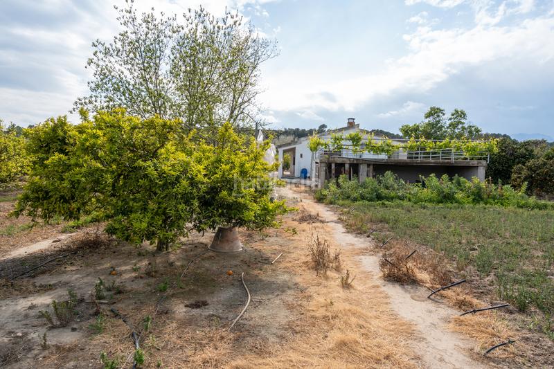 Foto e8fbb33f-6251-4e30-85a5-55973561ad69. Propriété dans partida bitem 46 dans Bítem Tortosa