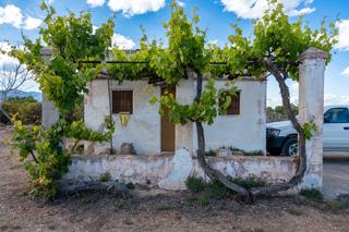 Finca rústica a Santa Bàrbara. Finca rústica de regadío con naranjos. dispone de luz eléctrica