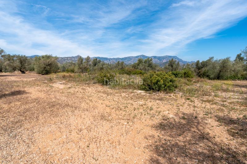 Foto 00bc18d2-3e38-4fc8-83cf-c84d8ff2f0c9. Propriété dans Galera (La)