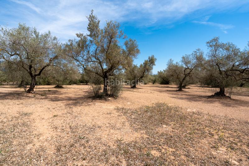 Foto 261a609c-468d-416c-82ff-ef9e2e92f584. Propriété dans Galera (La)