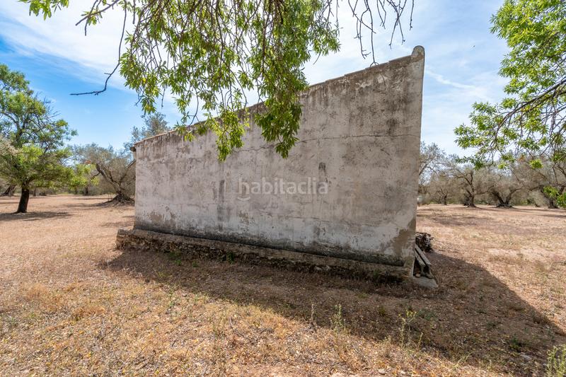 Foto 2b9deba2-2c75-48d5-a249-0ff1bd3ae3ee. Propriété dans Galera (La)