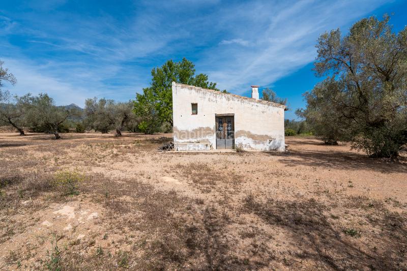 Foto 394f3569-b140-42d6-94f7-9821eaa78e8d. Propriété dans Galera (La)