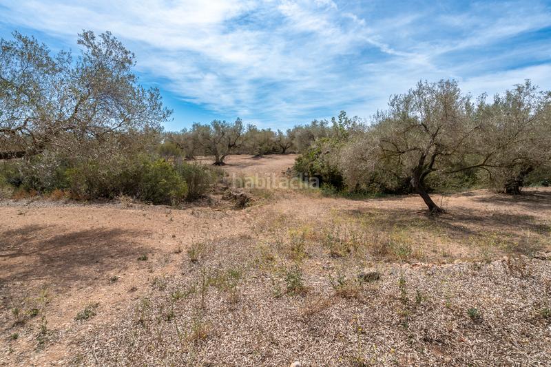 Foto 6e686600-f8be-46c6-be9c-315f80134ac8. Propriété dans Galera (La)