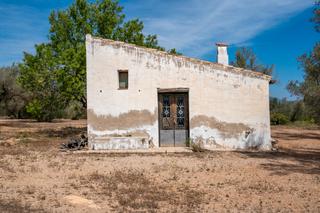 Rural plot in Galera (La). Finca rústica de olivos con casa de campo