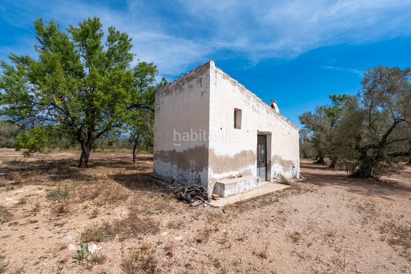 Foto 74a9fca5-6054-4a65-8707-6fcf3426b76f. Propriété dans Galera (La)