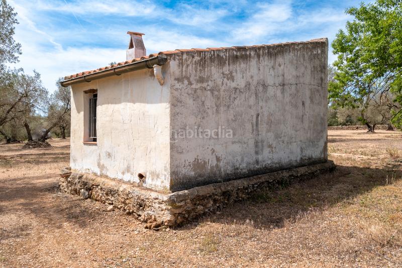 Foto 82a0c3f2-49cc-4b24-bdcd-ad0b92da46ad. Propriété dans Galera (La)