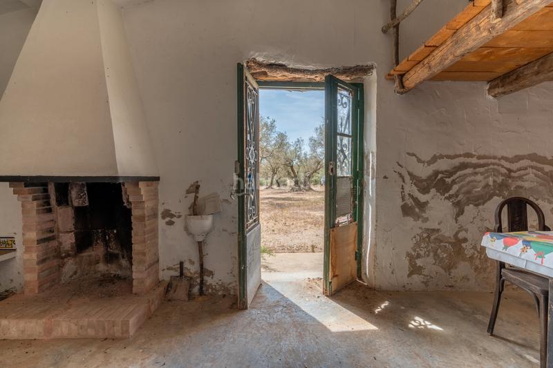 Foto 949c2712-68ed-430b-8cea-7726a2831d58. Propriété dans Galera (La)