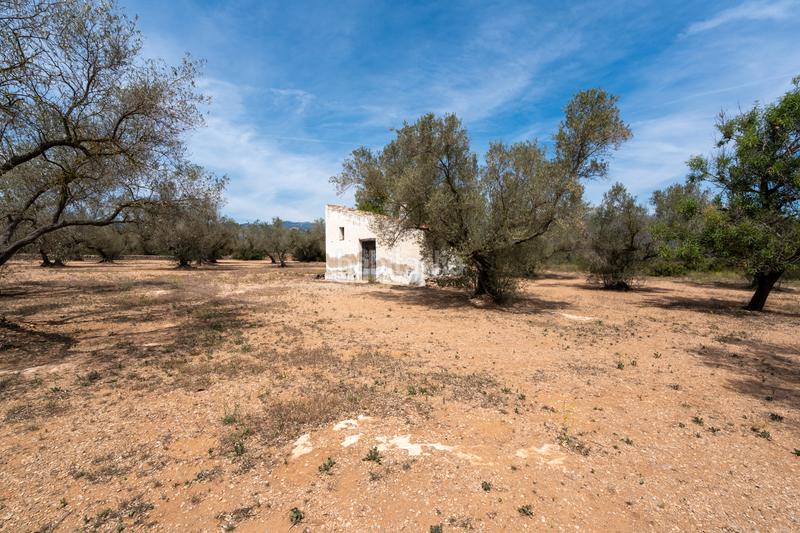 Foto be47b7eb-3817-4612-af6a-0377a74d24e4. Propriété dans Galera (La)