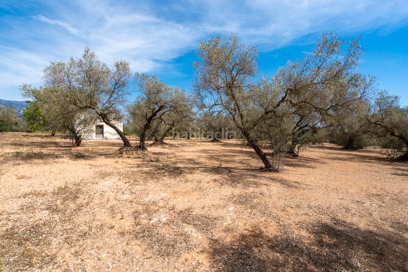 Foto f9a94dbb-15d7-4f2e-a816-b2dfd5bf160e. Propriété dans Galera (La)