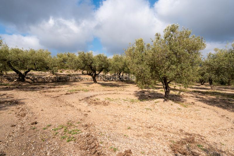 Foto 0c77c616-1c78-446a-9a40-4fbcd2813dd2. Propriété dans Mas de Barberans