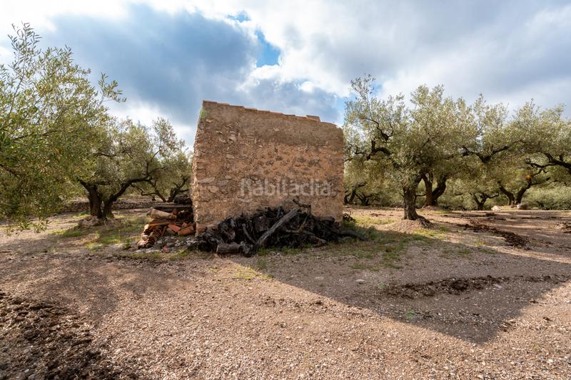 Foto 1efbbf0a-7203-4984-9cea-8b8732cffc19. Propriété dans Mas de Barberans