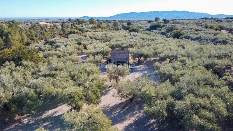 Foto 2d3ad54d-81bc-41ab-bfed-efa220571fd0. Propriété dans Mas de Barberans