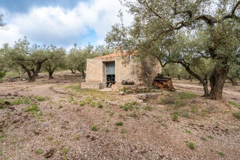 Foto 4863fd34-99cd-43a0-9017-2762f85ce0c9. Propriété dans Mas de Barberans