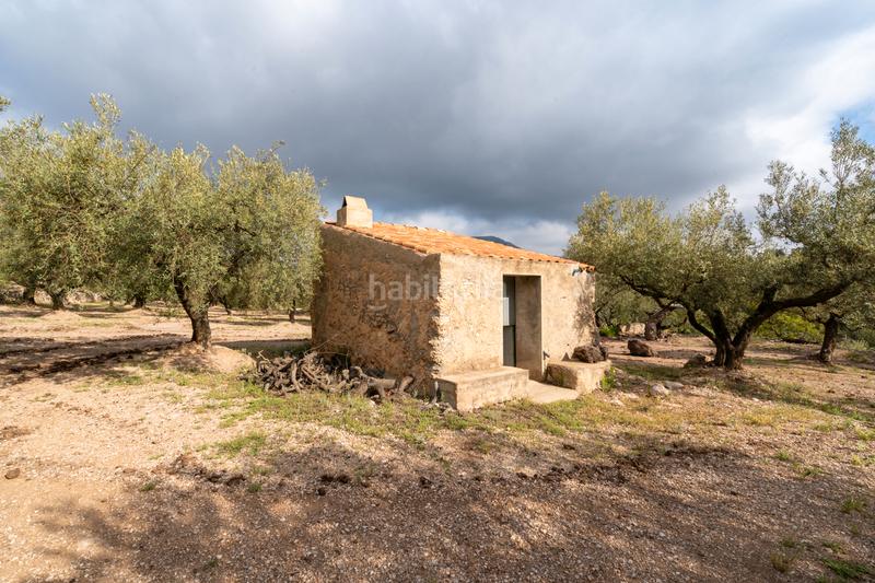 Foto 49ccf7d5-b0ec-4328-a150-968aabdc798c. Propriété dans Mas de Barberans