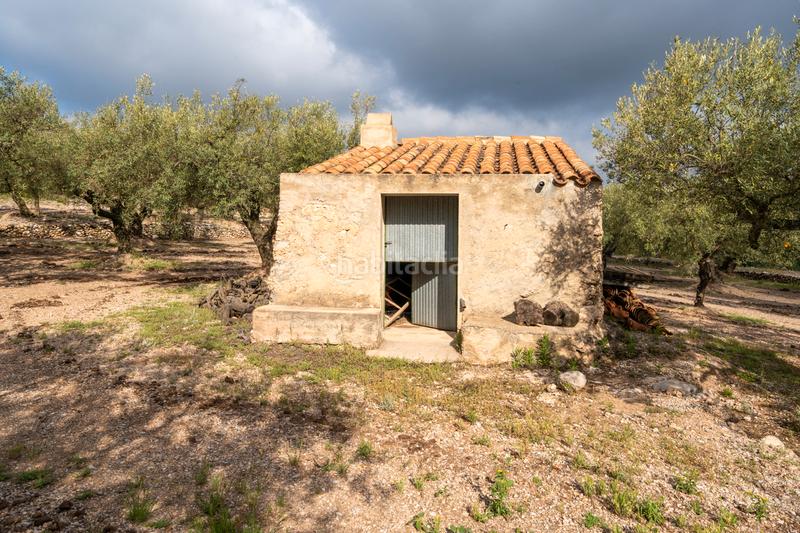 Foto 4cdbc475-e3f1-497b-b497-1feba4a0e119. Propriété dans Mas de Barberans