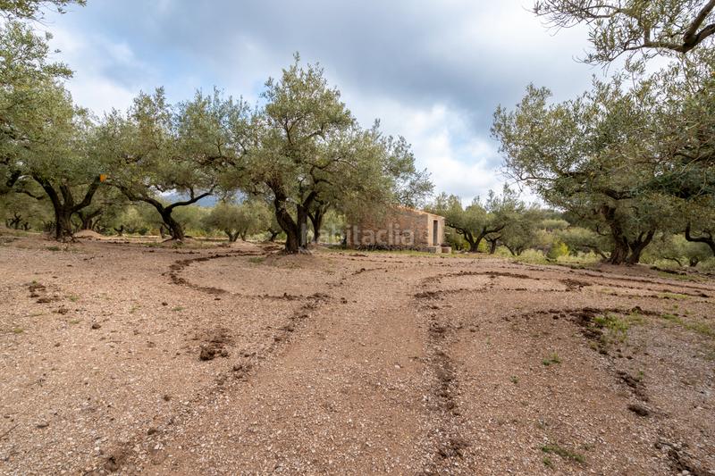 Foto 5a808e74-4b36-4675-8330-ba2a86ed13ba. Propriété dans Mas de Barberans