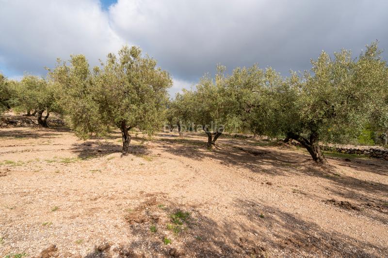 Foto 6112dc05-be34-46bf-8502-4848a6b149a5. Propriété dans Mas de Barberans