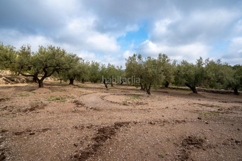 Foto 614b781d-b289-4529-8bec-5559db9bb531. Propriété dans Mas de Barberans