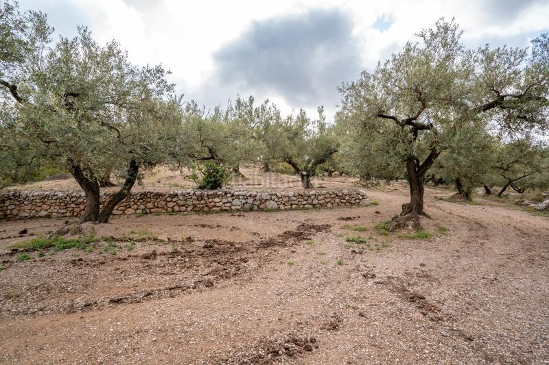 Foto 96ff56e7-02c3-4802-a626-0f2673cbf425. Propriété dans Mas de Barberans