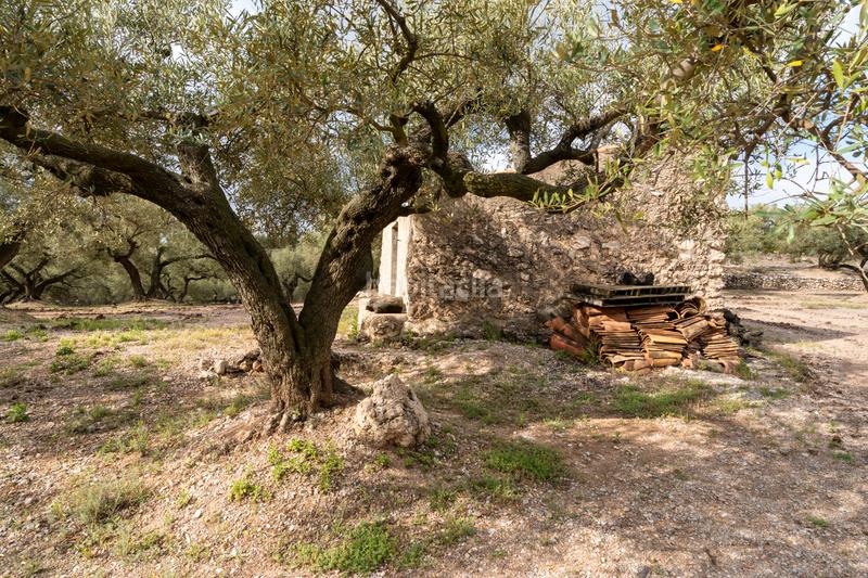 Foto a7292388-9d81-4793-af52-ba767eec7d3b. Propriété dans Mas de Barberans