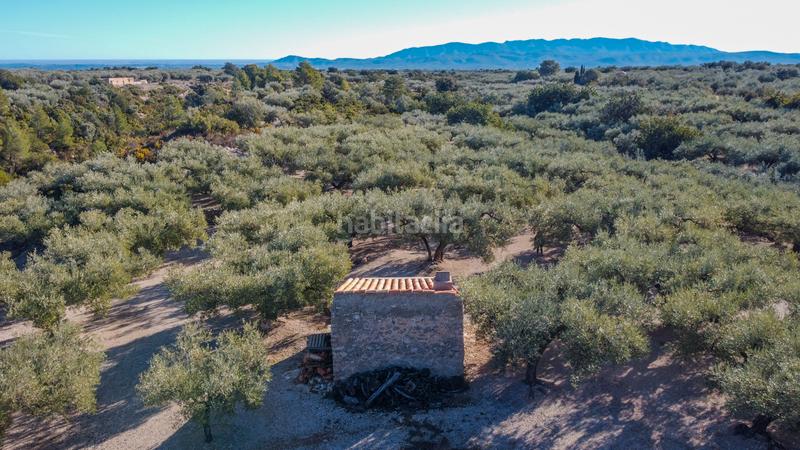 Foto bb51abc8-f839-4c41-85cd-d064a47dca7a. Propriété dans Mas de Barberans