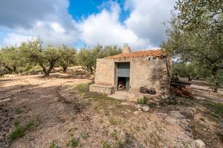 Rural plot in Mas de Barberans. Finca rústica de secano con casa de aperos