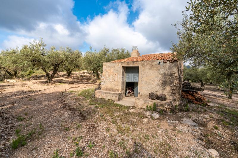 Foto c311b207-407f-4906-9691-c314dcf9feb9. Propriété dans Mas de Barberans