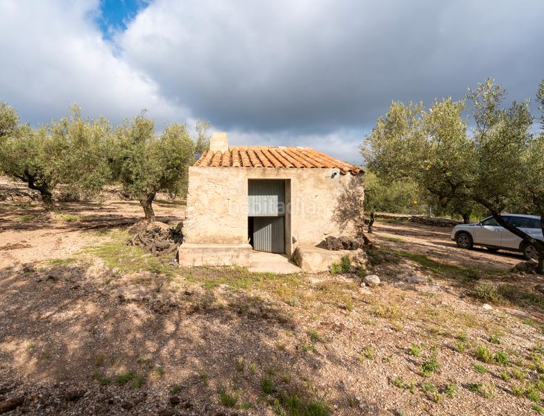 Foto e19270b5-ff6c-413f-9951-1e9cb38fae67. Propriété dans Mas de Barberans