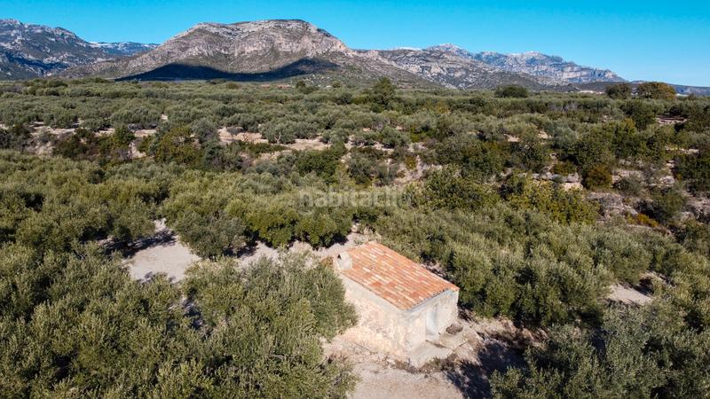 Foto ef00c88c-2973-4bc0-aa7b-4f4e42712104. Propriété dans Mas de Barberans