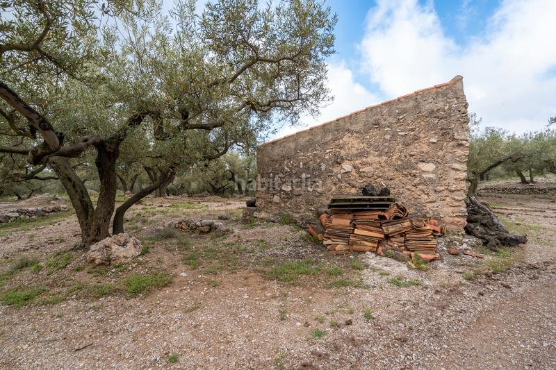 Foto ef57005e-1008-4fb4-98c5-24ea25aab8cc. Propriété dans Mas de Barberans