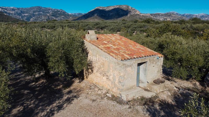 Foto f6b45d0f-c8f7-4eb5-963b-c71e3142df7b. Propriété dans Mas de Barberans