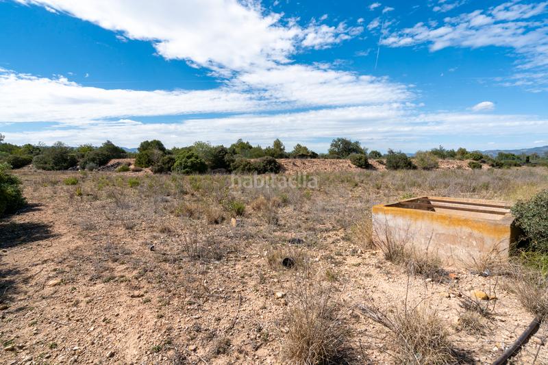 Foto 7a269fe8-f475-42c3-b57b-8e87c0f2e9ec. Finca rústica a camí del barranc de roé 94 a Vinallop Tortosa