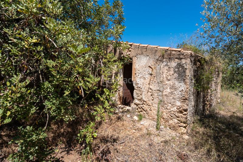 Foto 6508b054-ab21-42c6-b200-f9acc05f17aa. Finca rústica a Roquetes