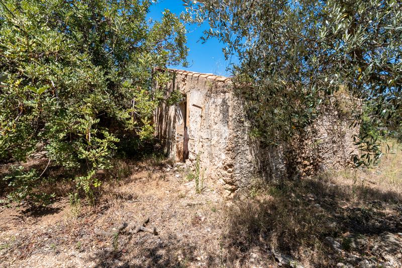 Foto 950600e0-16c8-4e14-a1ae-0cf21f2b2e72. Finca rústica a Roquetes