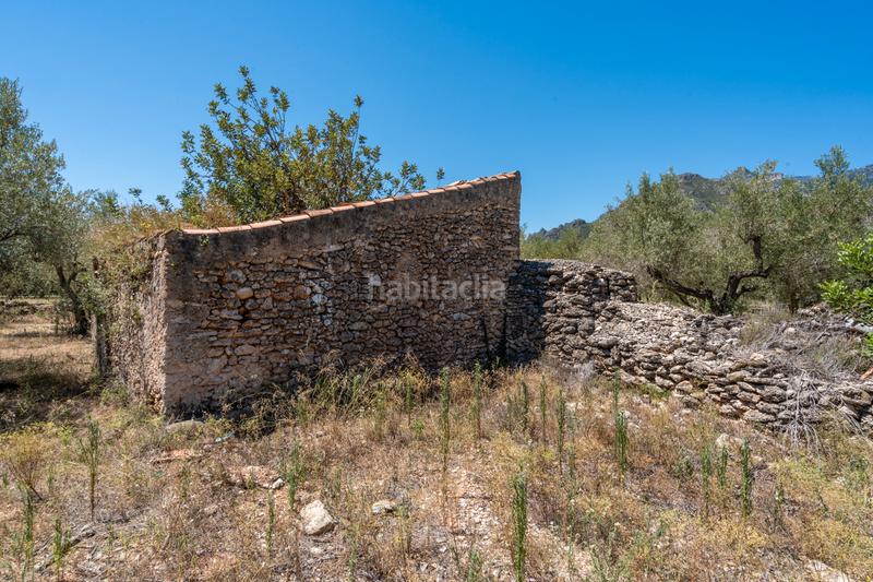 Foto bd463836-ec60-4d4a-bdff-7c4b039a51a0. Finca rústica a Roquetes