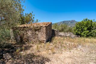 Finca rústica a Roquetes. Finca rústica de olivos con casa de aperos