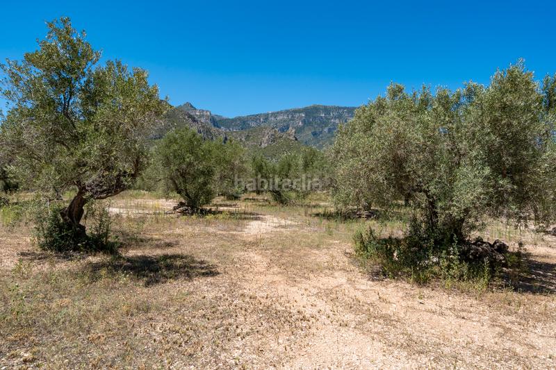 Foto f8d19143-0b35-44e8-849c-7b8874304dfd. Finca rústica a Roquetes