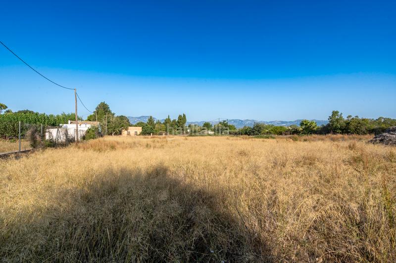 Foto df754fa9-a7fd-4089-9917-a1148342ed8c. Landgut in Remolins - Sant Jaume Tortosa