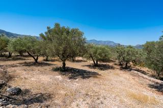 Rural plot in Galera (La). Finca rústica de secano sin edificación