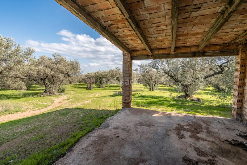 Foto 0e5f0620-7924-4f6a-a997-7125fc176739. Finca rústica gran finca de olivos con masía en Roquetes