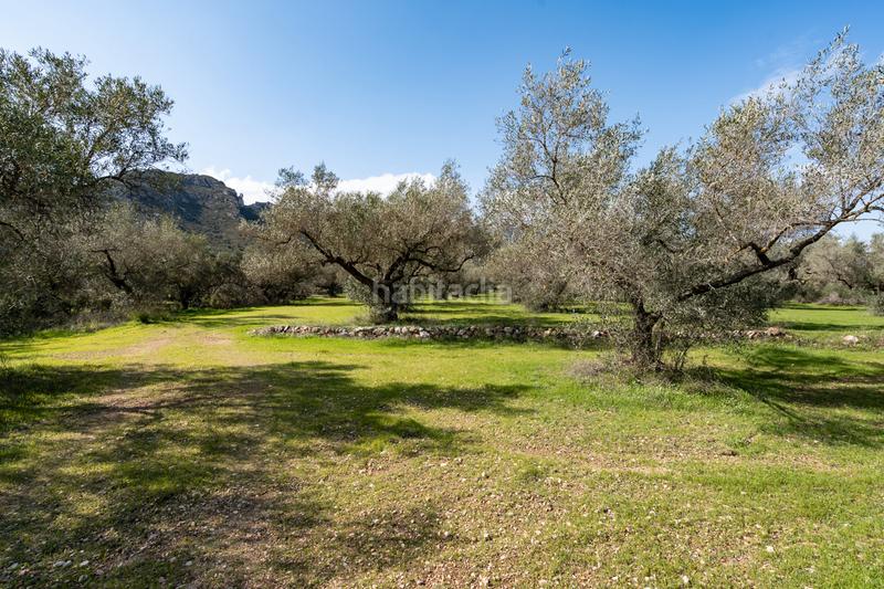 Foto dee7e3df-2e70-4574-8903-b22cc228fde6. Finca rústica gran finca de olivos con masía en Roquetes