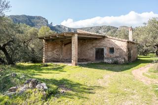 Finca rústica a Roquetes. Gran finca de olivos con masía